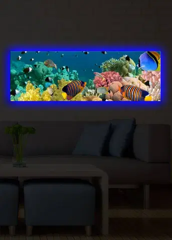 Obrazy Hanah Home Obraz s led osvětlením Shining Sea 90x30 cm