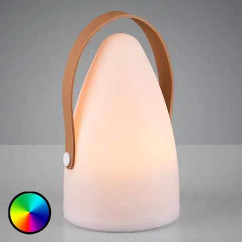 Venkovní dekorativní svítidla Reality Leuchten Venkovní ozdobná lampa Haiti s baterií RGB