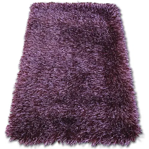 Koberce a koberečky Dywany Lusczow Kusový koberec LOVE SHAGGY fialový, velikost 250x350
