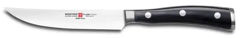 Kuchyňské nože Wüsthof 1040331712 12 cm