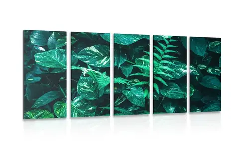 Obrazy zátiší 5-dílný obraz svěží tropické listy