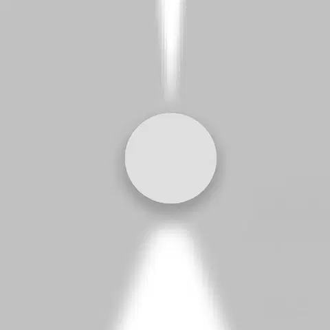 LED venkovní nástěnná svítidla Artemide Effetto kruh 1 large beam + 1 narrow beam šedá / bílá T4211NLW00