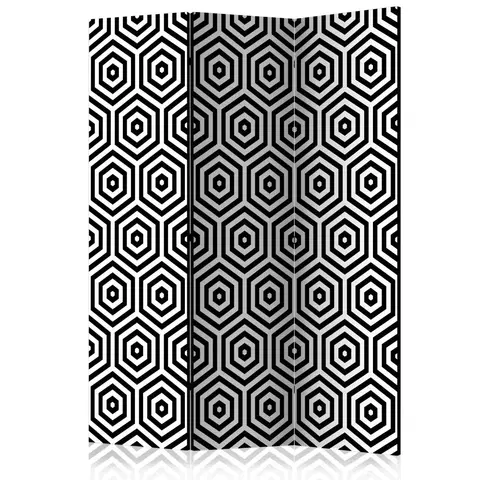 Paravány Paraván Black and White Hypnosis Dekorhome 135x172 cm (3-dílný)