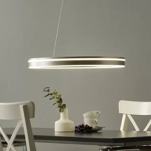 Inteligentní lustry Q-Smart-Home Paul Neuhaus Q-VITO LED závěsné světlo 59cm ocel