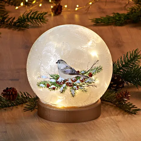 Svíčky a světelné dekorace LED skleněná koule "Zimní pták"