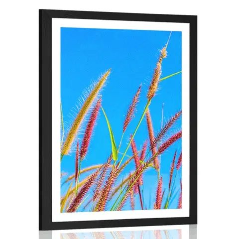 Příroda Plakát s paspartou divoká tráva pod modrou oblohou