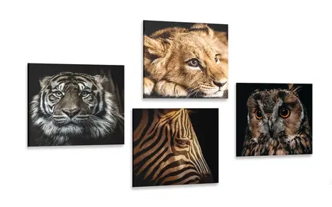 Sestavy obrazů Set obrazů divoká zvířata