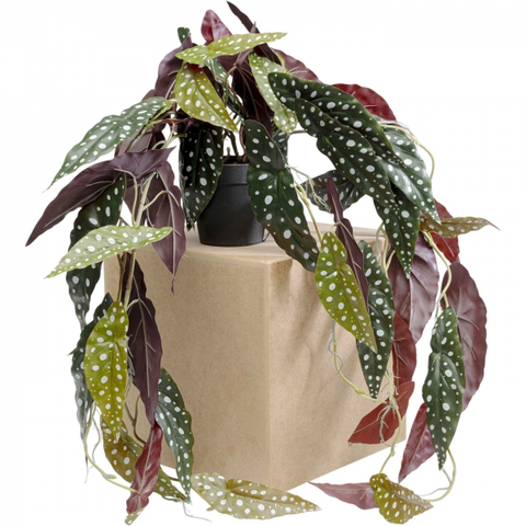 Umělé rostliny KARE Design Dekorativní rostlina Begonia 105cm