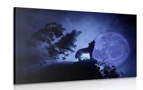 Obrazy zvířat Obraz vlk v úplňku měsíce
