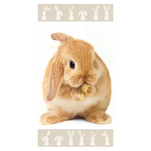 Ručníky Jerry Fabrics Osuška Bunny brown, 70 x 140 cm
