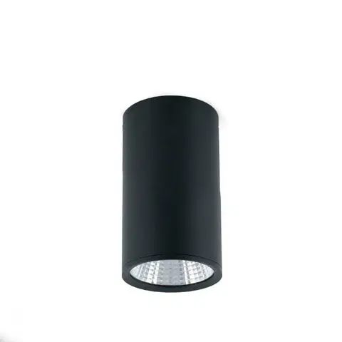 Moderní bodová svítidla FARO REL 100 stropní svítidlo, černá