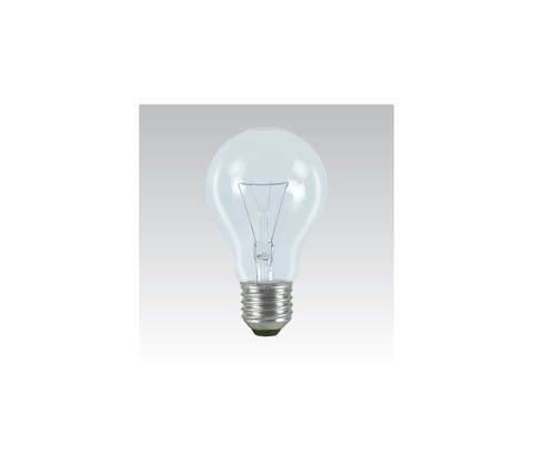Žárovky  Průmyslová speciální žárovka E27/100W/24V 