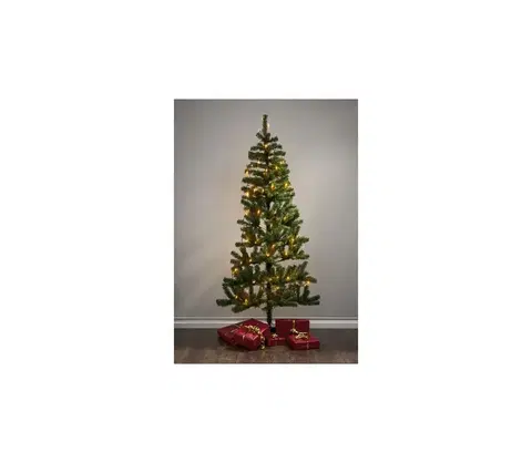 Vánoční dekorace Eglo Eglo 410822 - LED Venkovní vánoční řetěz GOLDEN 80xLED 5,6m IP44 teplá bílá 