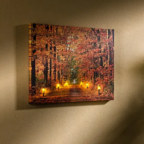 Svíčky a světelné dekorace LED obraz "Podzimní les"