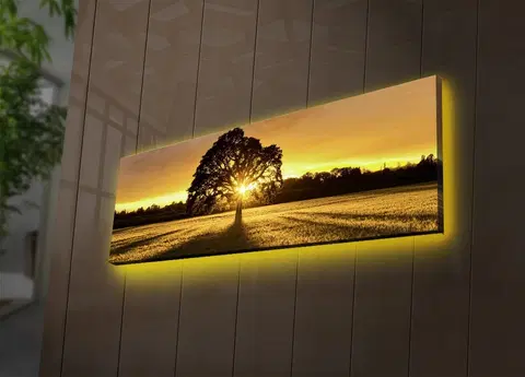 Obrazy Hanah Home Obraz s led osvětlením Ledda Tree 90x30 cm