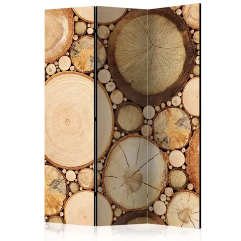 Paravány Paraván Wood grains Dekorhome 135x172 cm (3-dílný)