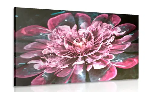 Abstraktní obrazy Obraz magický růžový květ