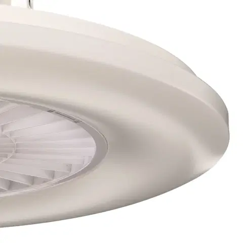 Stropní ventilátory se světlem Starluna Starluna Narmin LED stropní ventilátor Tuya bílá