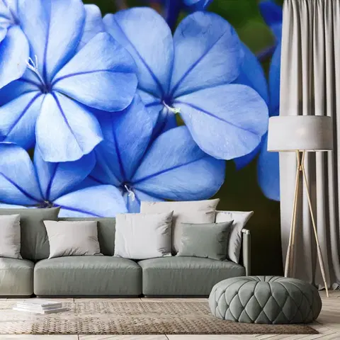 Samolepící tapety Samolepící fototapeta divoké modré květiny
