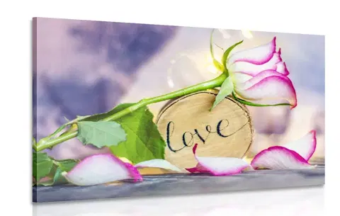 Obrazy s citáty a nápisy Obraz romantické vyznání Love