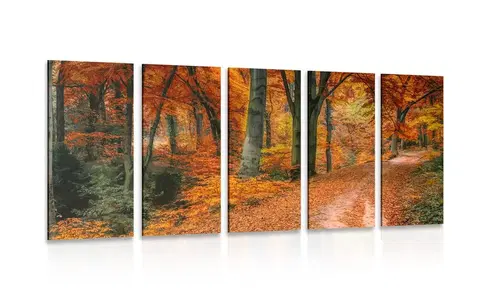 Obrazy přírody a krajiny 5-dílný obraz les v podzimním období