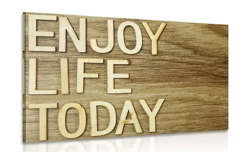 Obrazy s citáty a nápisy Obraz s citací - Enjoy life today