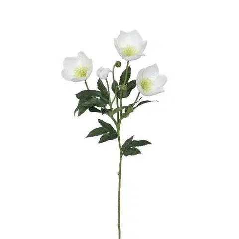 Květiny Umělá čeměřice, v. 62 cm, bílá