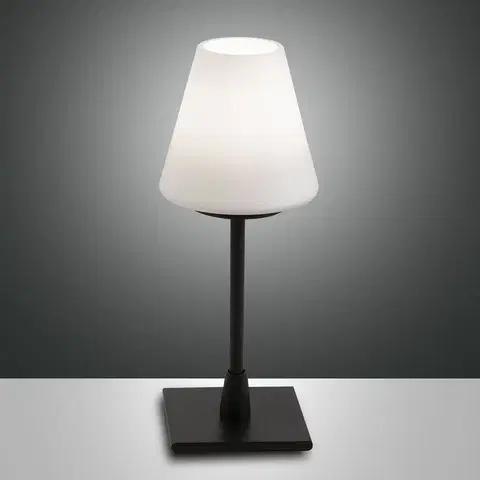 Stolní lampy Fabas Luce LED stolní lampa Lucy s dotykovým stmívačem, černá