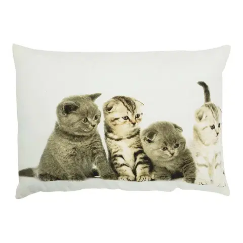 Dekorační polštáře Bavlněný polštář Britská koťata 35x50 cm - 50*10*35cm Mars & More GKHKKBK4