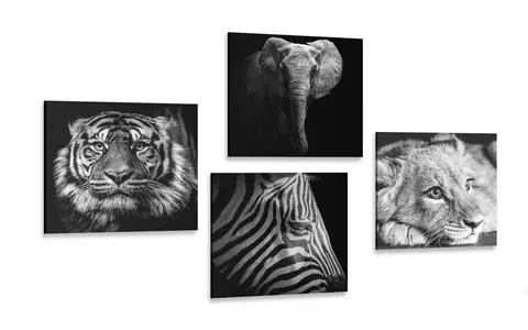 Sestavy obrazů Set obrazů divoká zvířata v černobílém provedení
