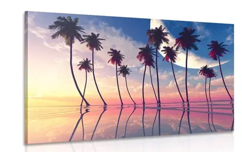 Obrazy přírody a krajiny Obraz západ slunce nad tropickými palmami