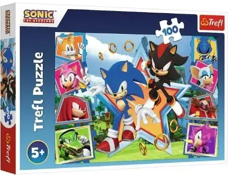 Hračky puzzle TREFL -  Puzzle 100 dílků - Seznamte se se Sonicem / SEGA Sonic The Headgehog