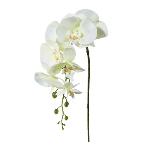 Květiny Umělá Orchidej bílá, 86 cm 305303-50