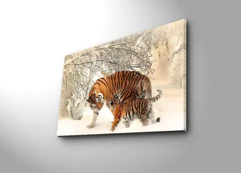 Obrazy Wallity Obraz s LED osvětlením TYGŘI VE SNĚHU 81 45 x 70 cm