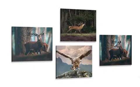 Sestavy obrazů Set obrazů krása lesních zvířat