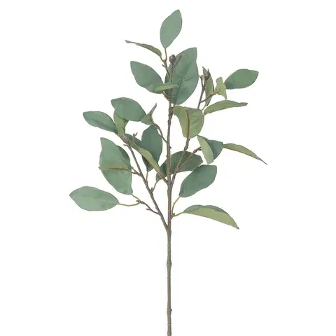 Květiny Umělá větev Magnolie zeleno-šedá, 62 cm