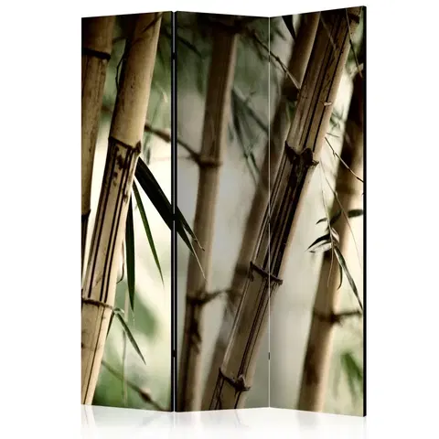 Paravány Paraván Fog and bamboo forest Dekorhome 135x172 cm (3-dílný)