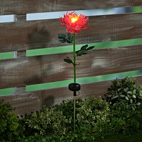 Svíčky a světelné dekorace Solární chryzantéma