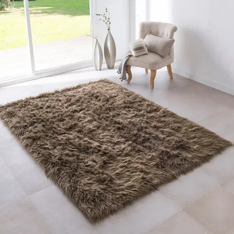 Koberce a koberečky Koberec s dlouhým chlupem