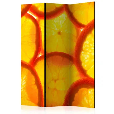 Paravány Paraván Orange slices Dekorhome 135x172 cm (3-dílný)