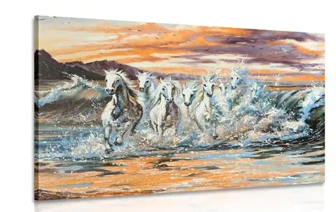 Obrazy zvířat Obraz koně tvořeny vodou