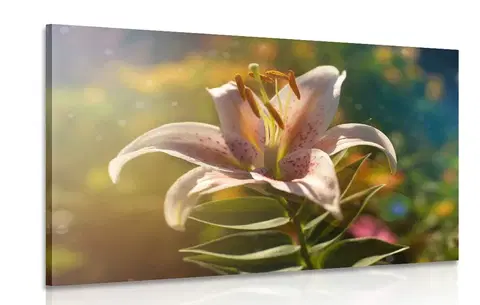 Obrazy květů Obraz nádherný květ s retro nádechem