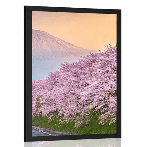 Příroda Plakát nádherné Japonsko