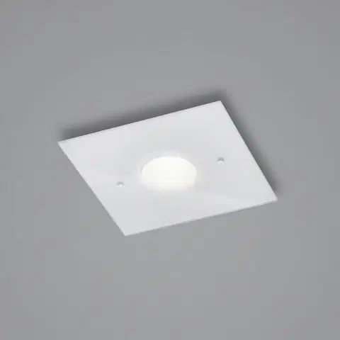 Stropní svítidla Helestra Helestra Nomi LED stropní světlo 23x23cm dim bílá